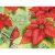 Poinsettia Grace Boxed Christmas Cards (18 pack) w/ Decorative Box by Susan Winget